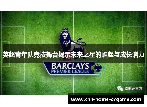 英超青年队竞技舞台揭示未来之星的崛起与成长潜力
