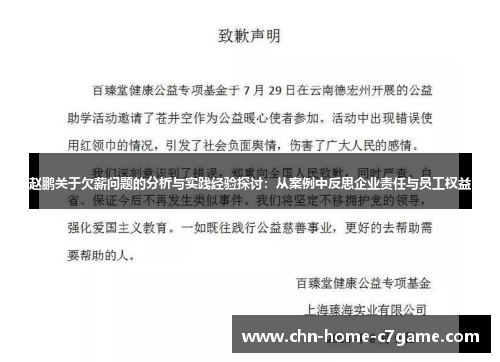 赵鹏关于欠薪问题的分析与实践经验探讨：从案例中反思企业责任与员工权益