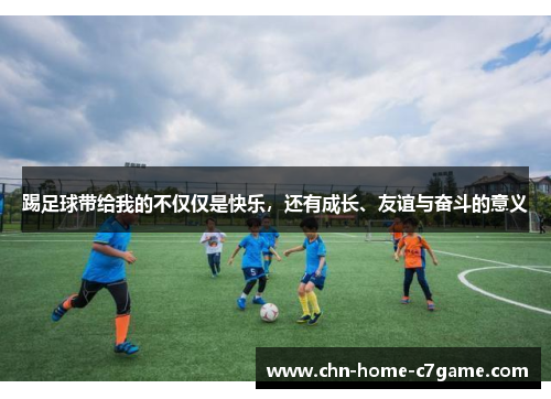 踢足球带给我的不仅仅是快乐，还有成长、友谊与奋斗的意义